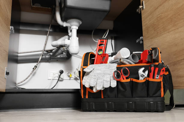 Best Leak Detection Services  in Blue Grass, IA