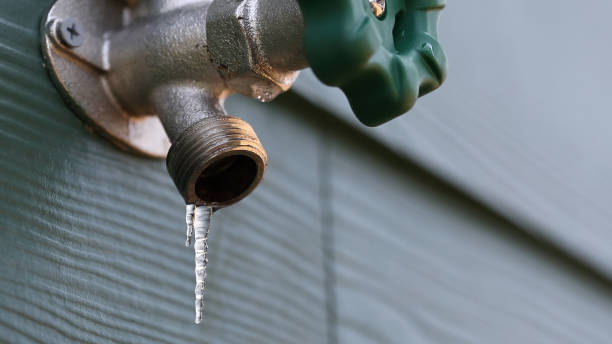 Best Commercial Plumbing Services  in Blue Grass, IA