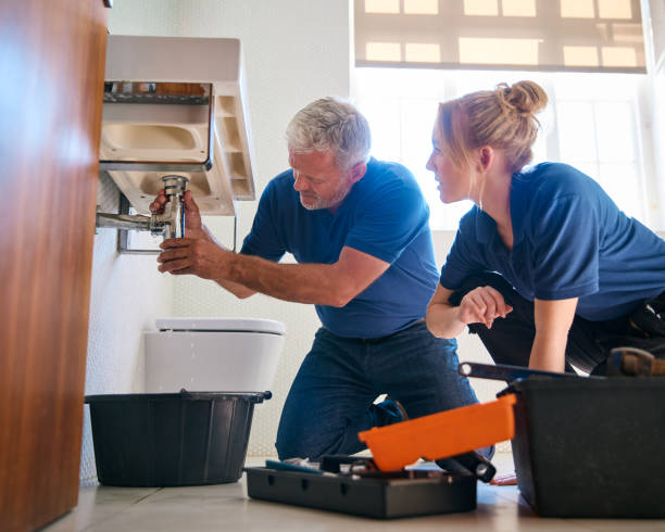 Best Plumbing Services Near Me  in Blue Grass, IA